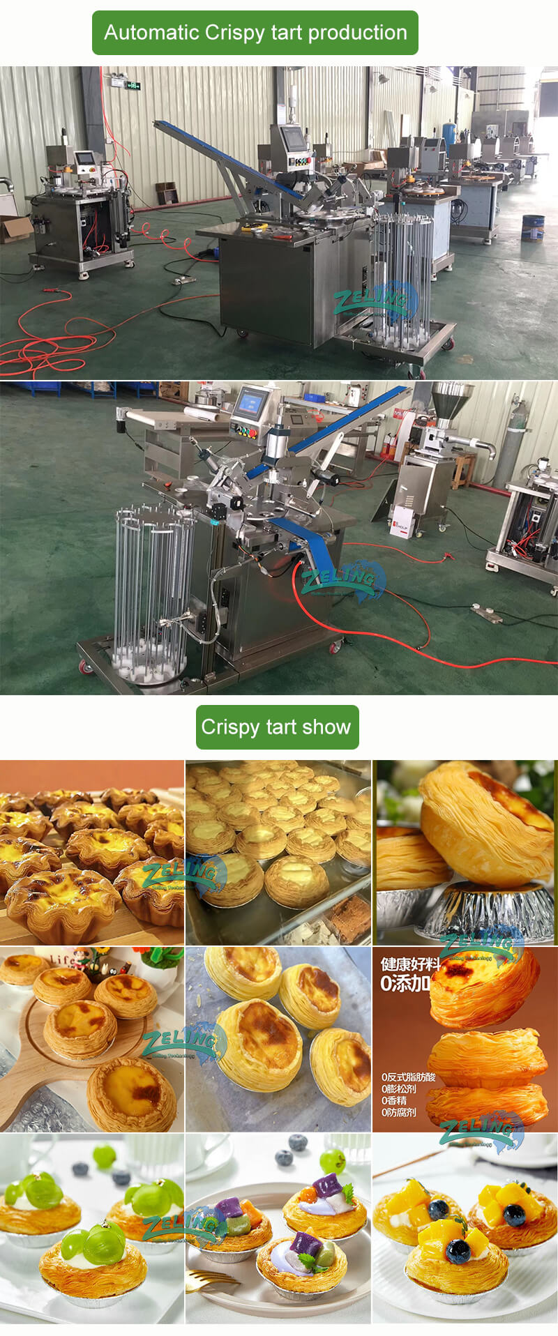 Automatic Crispy Skin Egg-tart Forming Machine – Shijiazhuang Zeling ...